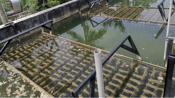廣東某市政污水處理廠填料案例