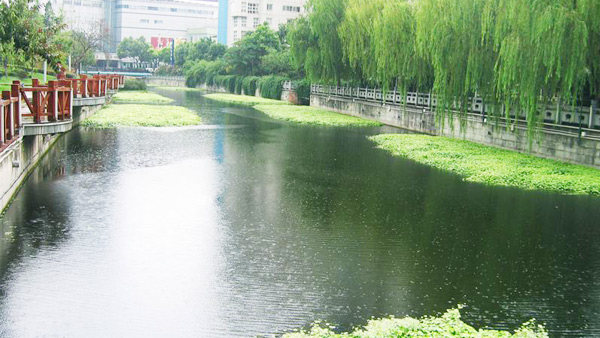 北京市航空港河段變質(zhì)水體水草填料案例